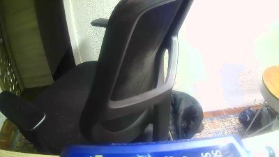 Zup1 webcam model stream image