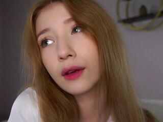 Sibley Handford webcam model stream image