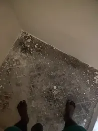 Vickyins480000 webcam model stream image