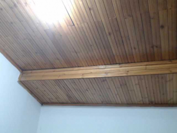 adelen-smith webcam model stream image