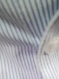 bingxin- webcam stripchat model stream image