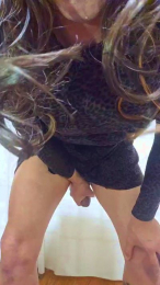 Pascaltrans webcam model stream image