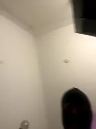 exmodel31 webcam model stream image