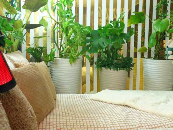 -Violettttta- webcam bongacams model stream image