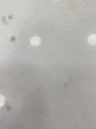 Flacohot6 预览图
