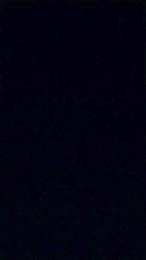 rickyricardo204 webcam model stream image