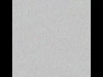 _tammarra_ webcam model stream image