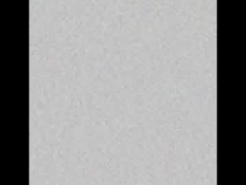 _tammarra_ webcam model stream image