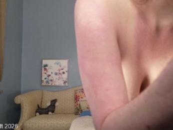 leiaswift webcam model stream image