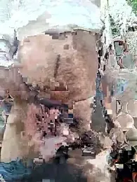 Pitercom webcam model stream image