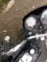 Wet_BunnyFun webcam model stream image