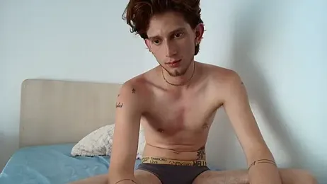 Deim_ webcam model stream image