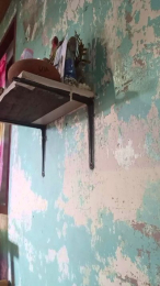 WildLady webcam model stream image