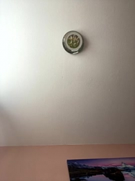 Corle124 webcam model stream image