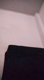 luistoro6 webcam model stream image