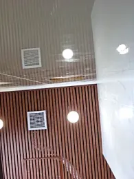 ovo0810 webcam model stream image