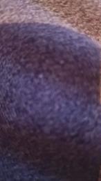 Morboxxxxx webcam cam4 model stream image