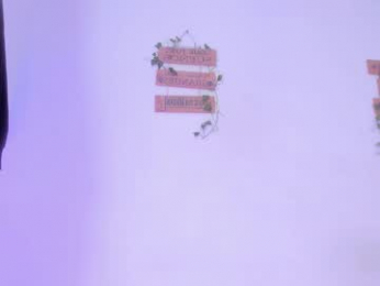 alisiacollinsss webcam model stream image