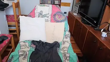 DragonflyExhib webcam model stream image