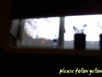 yellowsnakes webcam model stream image