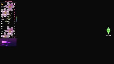 BBWHijab webcam model stream image