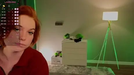 zelda_1 webcam model stream image