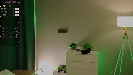 zelda_1 webcam model stream image