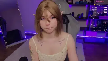 zelda_1 webcam model stream image