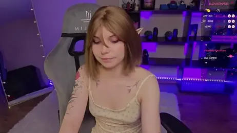 zelda_1 webcam model stream image