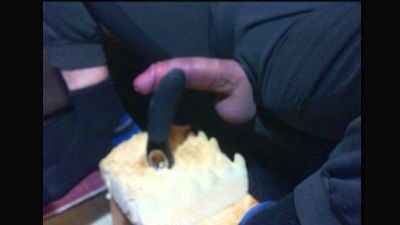 dogready webcam model stream image