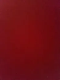 Angye_trans webcam model stream image