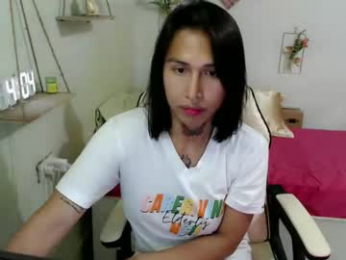 snow_2000 webcam model stream image