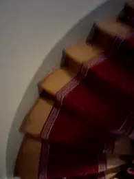 molozeb webcam model stream image