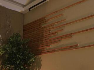 Logan Varela webcam model stream image