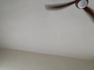 Maci Reynolds webcam model stream image