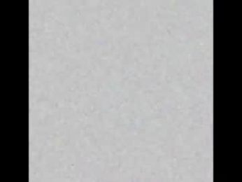 deyian webcam model stream image