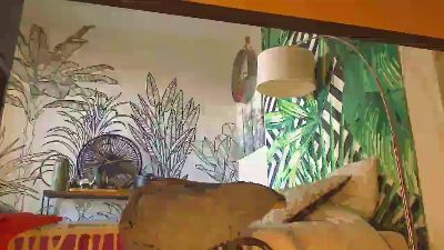 BS29N webcam model stream image