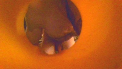 Sandroplum webcam model stream image