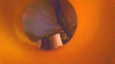 Sandroplum webcam model stream image