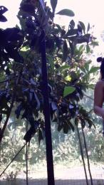 Mariposareina26 webcam cam4 model stream image