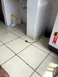 CACHORRONOCIU webcam model stream image