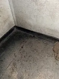 CACHORRONOCIU webcam model stream image