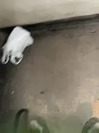 CACHORRONOCIU webcam model stream image