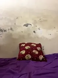 poision51 webcam model stream image