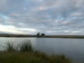 daddyforshort8 webcam model stream image