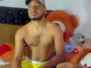 prince-gemini webcam model stream image