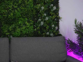 AmiraRoshen webcam model stream image