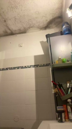 KENTPICS webcam model stream image