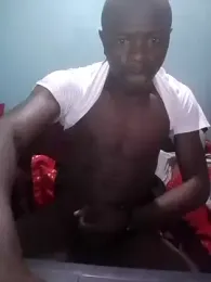 DigCrok webcam model stream image