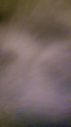 Oktopussyy webcam model stream image